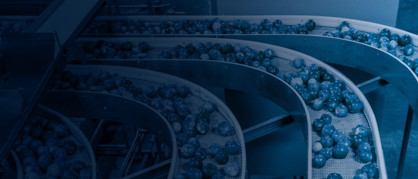 Templates 1400 x 600 px - 1400-3 FPZ